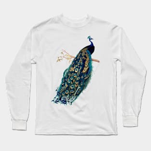 Vintage Peacock, Teal Long Sleeve T-Shirt